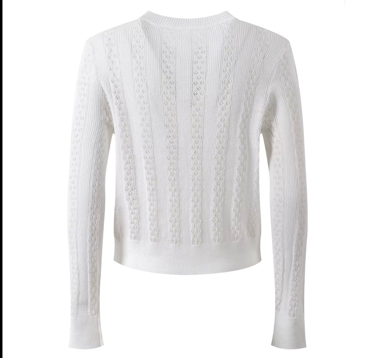 Delicate Pointelle Knit Cardigan