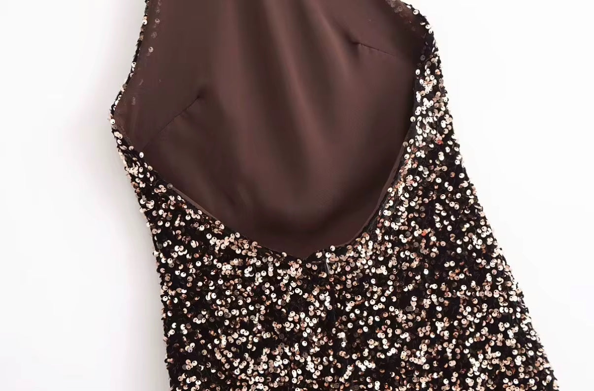 Shimmer Nights Mini Dress