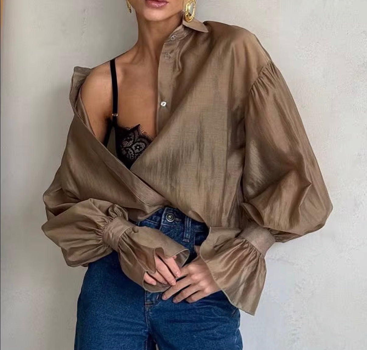Long Sleeve Sheer Button-Up Blouse