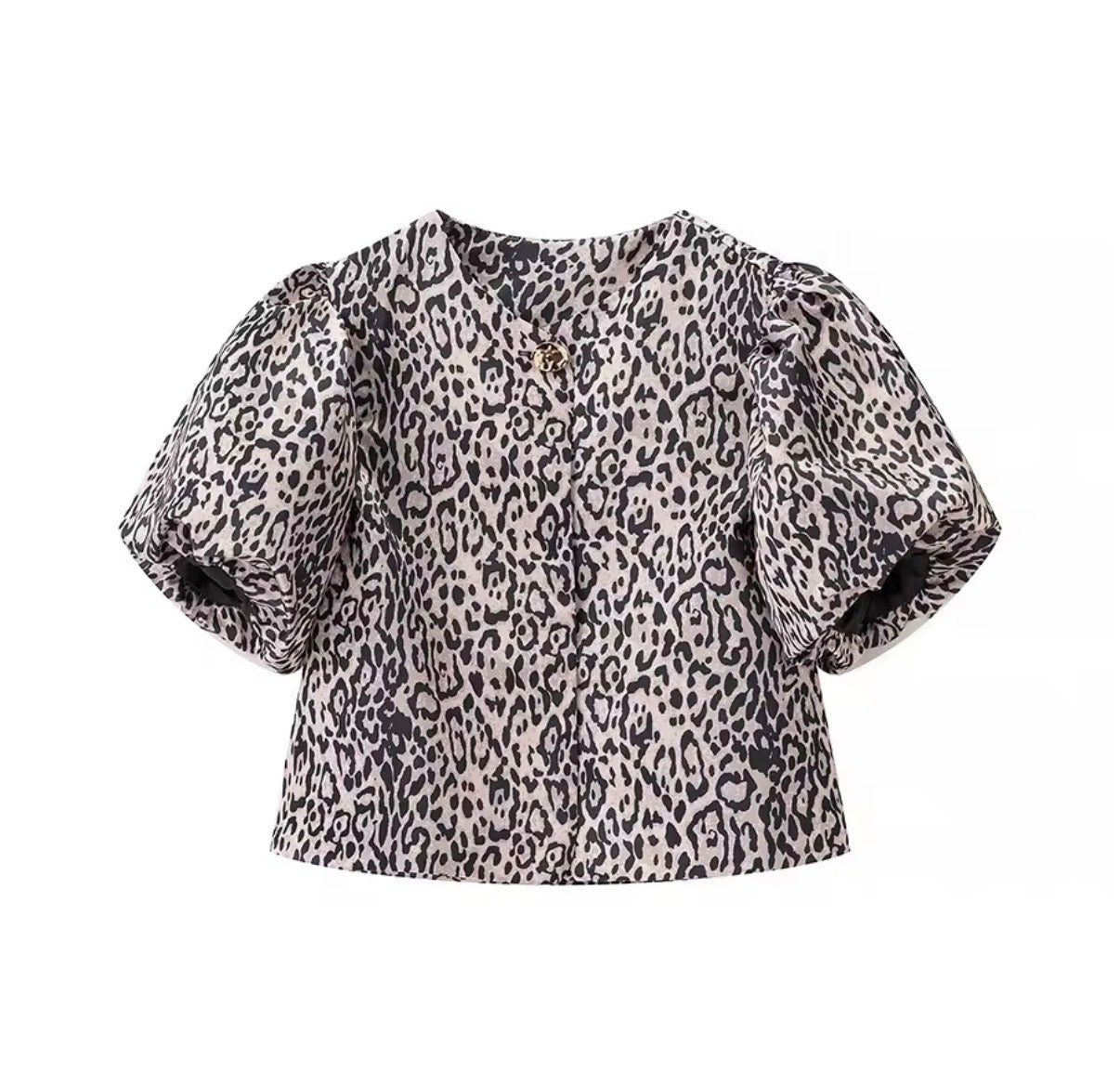 Puff Sleeve Button-Front Satin Top