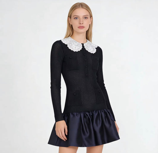 Lace Collar Long Sleeve Mini Dress