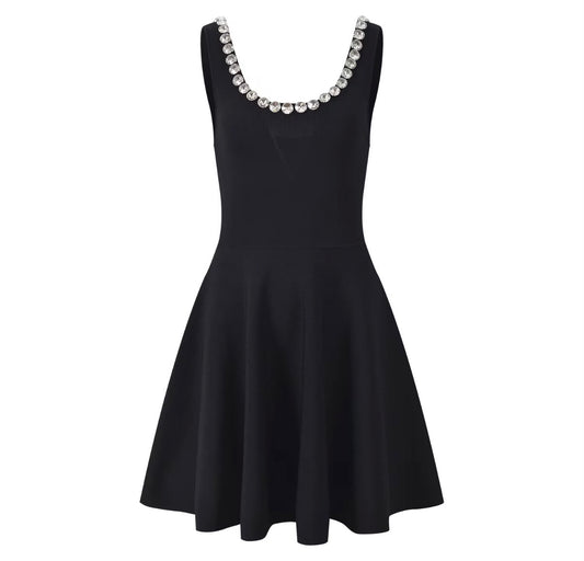 Crystal Trim Flare Mini Dress